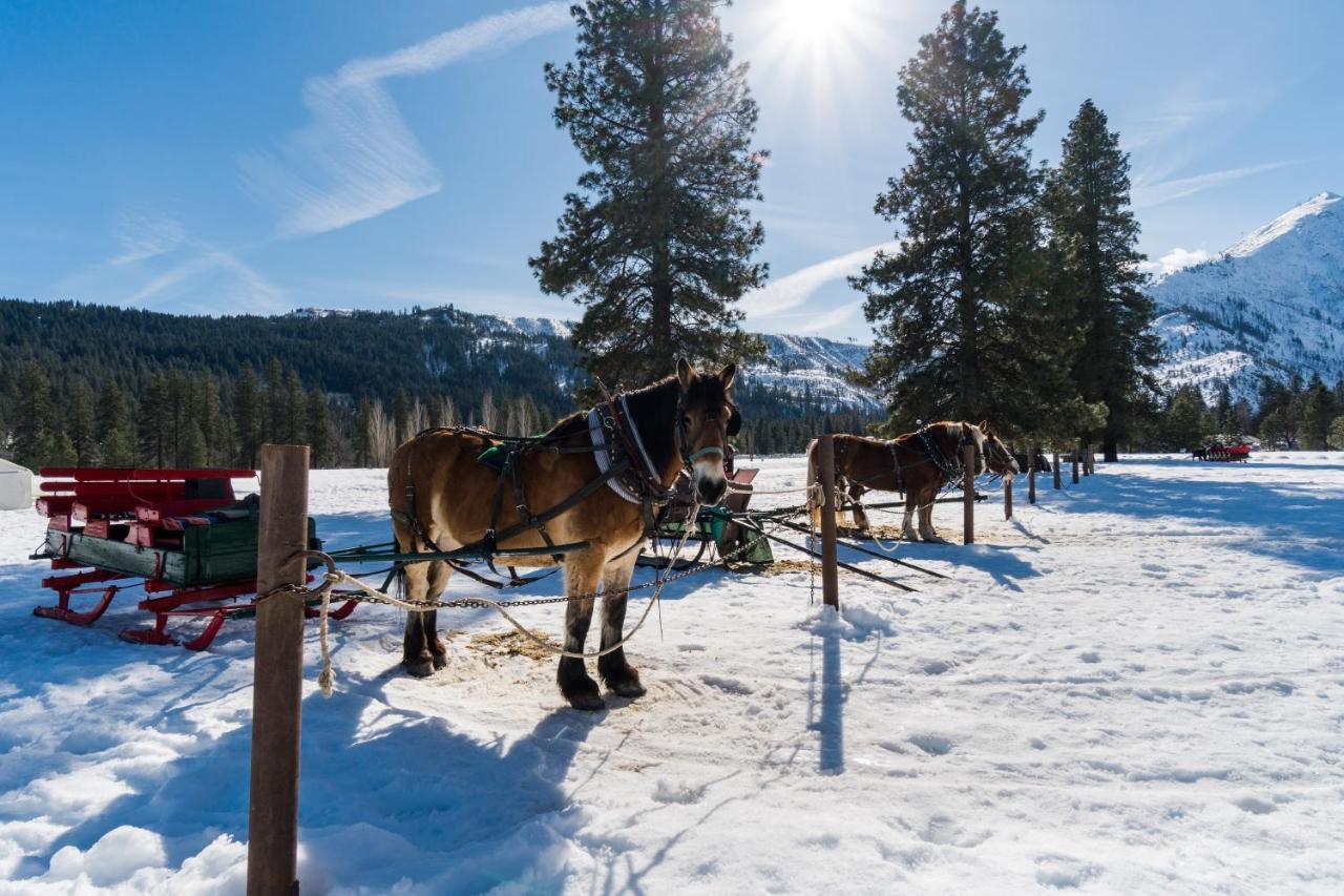 Icicle Village Resort 508: Alpine Aurora Leavenworth Εξωτερικό φωτογραφία